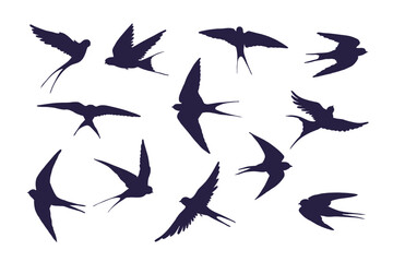 Swallow bird vector illustartions silhouette set.
