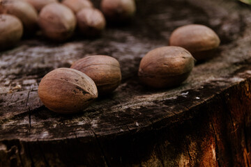 Pecan nuts on a wooden log