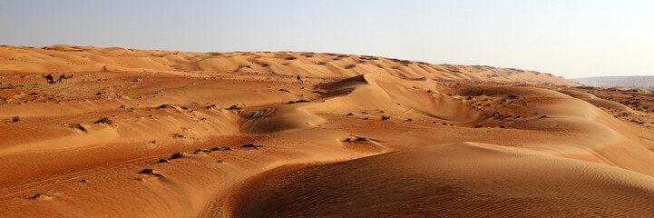 Wahiba sand dunes, Oman