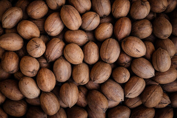 pecan nuts wallpaper background