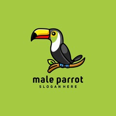 male parrot logo design