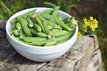 Green peas in a white plate on a wooden bench.