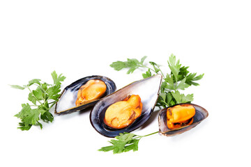 Three steamed mussels with parsley on a white background. Shell food
