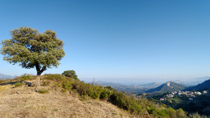 Fototapeta na wymiar Hills of the Nebio country and Olmeta-di-Tuda village in Corsica island