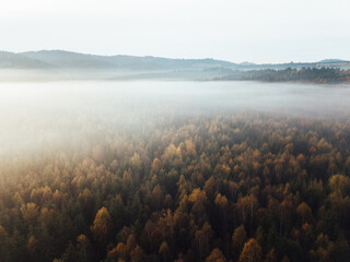 Beautiful landscape with foggy hills, forest, sunbeam. View from above
