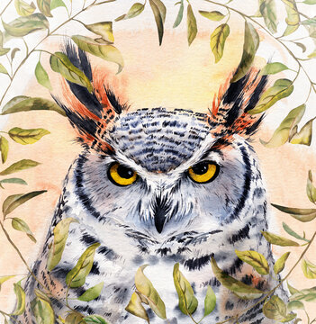 Watercolor illustration of an owl with spotted colorful feathers and big yellow eyes with leaves and branches
