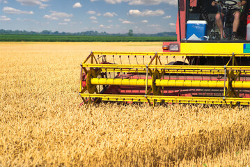 Fototapeta na wymiar Harvester combine harvesting wheat on a sunny summer day 