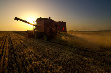 Naklejka premium Harvester combine harvesting wheat on a sunny summer day 