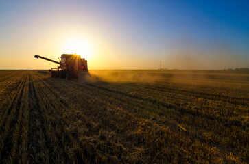 Fototapeta na wymiar Harvester combine harvesting wheat on a sunny summer day 