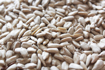 white rice background