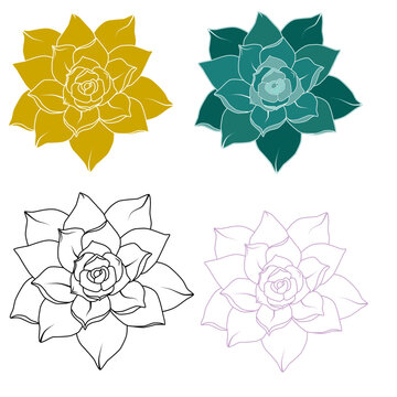 set of flowers succulent echiveria svg 