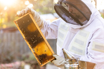 Beekeeper on an apiary, beekeeper is working with bees and beehives on the apiary, beekeeping or...