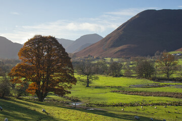 autumn in the mountains
