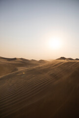 Fototapeta na wymiar Sand dunes in the desert of Abu Dhabi
