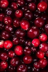 Macrophotography of cranberry berries. Background of red ripe berries.