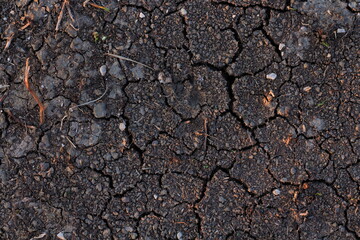 Cracked dry earth texture, global warming, climate change concept, dark style abstract wallpaper.