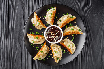 delicious fried gyoza dumplings on a black plate