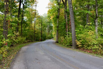 The long winding road in the countryside.