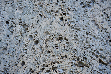 Weathered sandstone texture background with holes and veins. 