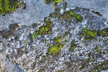 Weathered sandstone texture background with holes, veins and moss.