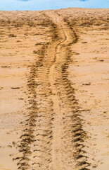 The Way of Life (Traces left on the beach of Galapagos Islands when sea turtles go to lay their eggs)