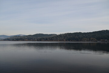 reflection of trees in the lake