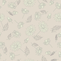 Print with a silhouette of daisies on a light background. Vector of seamless flower daisy pattern.