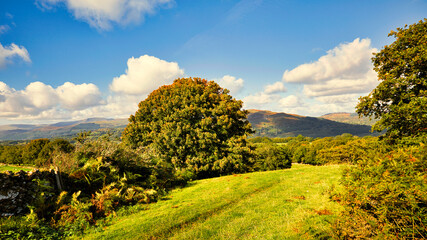 Obraz premium The beautiful landscape of Snowdonia in Wales