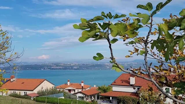 Scenic view to beautiful green hills, red roofs and Adriatic sea against blue sky in spring from Koper, Slovenia. Nature backgrounds