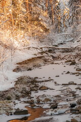 Winter landscape with snow-covered trees, a river in the forest