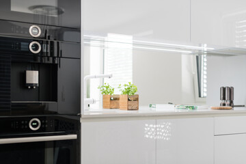 White kitchen with built in appliances in modern apartment