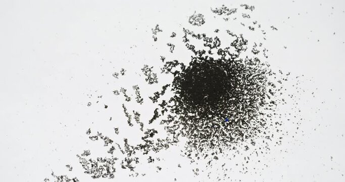 Dust floating. Particles background. Dirt in water. Defocused black flakes motion on white abstract grunge texture with free space. Shot on RED Cinema Camera.