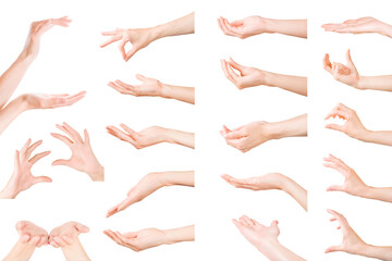 Set of woman hands showing, holding and supporting something. Isolated with clipping path - obrazy, fototapety, plakaty