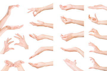 Set of woman hands showing, holding and supporting something. Isolated with clipping path