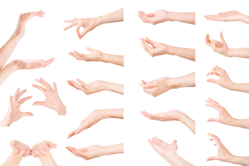 Fotobehang Set of woman hands showing, holding and supporting something. Isolated with clipping path © eshma