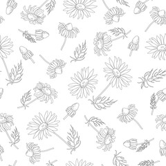 Print with a silhouette of daisies on a light background. Vector of seamless flower daisy pattern.