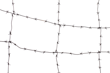 Old rusty barbed wire