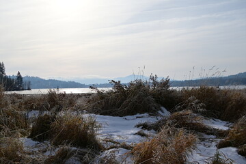 winter landscape with snow