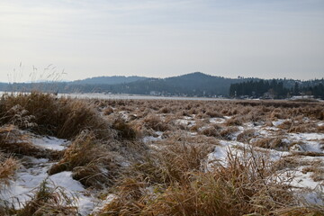 landscape with snow covered trees