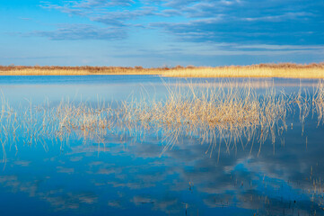 Fototapeta na wymiar Calm wide river, fishing landscape. Reeds and kugai along the river bank.