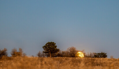 Moonrise above the prairie in Colorado. The moon entering the full moon