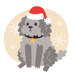 Curly little dog in Santa Claus hat sits with snowflakes