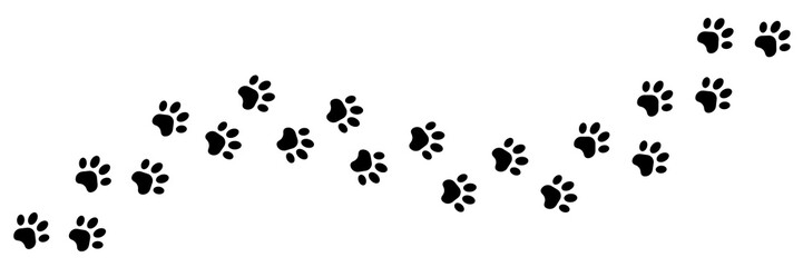 Paw foot trail print of cat. Dog, pawprint, cat paw print on white background. - obrazy, fototapety, plakaty