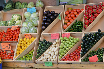 Exhibition of fruits and vegetables  