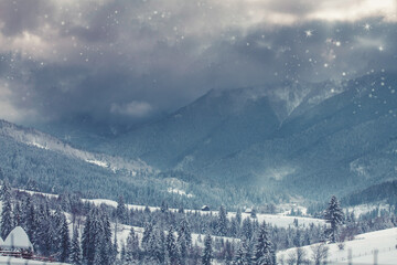 Wooden houses under snow