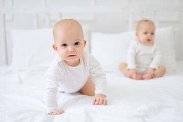 two twin babies girls of six months on a white cotton bed in a bodysuit on the bed at home playing and smiling
