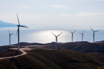 wind rose electricity