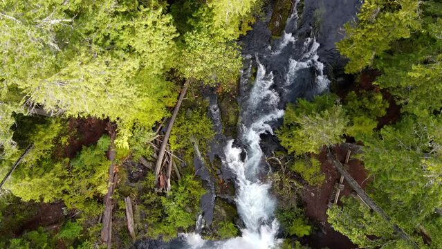 Aerial shot of the amazing Koosah Falls and lush moss covered forest on the McKenzie River in Oregon.