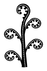 Fern Naive Style for Art Illustration, Logo, Apps, Pictogram or Graphic Design Element. Format PNG