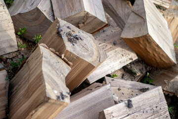 Chopped firewood is in random order. Firewood for a picnic in a pile.  Grill wood. Firewood is finely split.